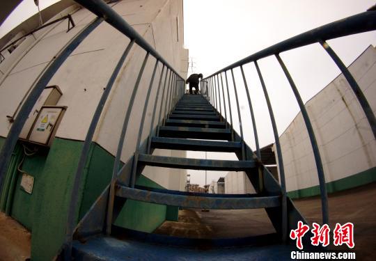 中央儲(chǔ)備糧江西泰和直屬庫(kù)有限公司保管員在倉(cāng)庫(kù)巡查?！⊥蹶魂?yáng) 攝